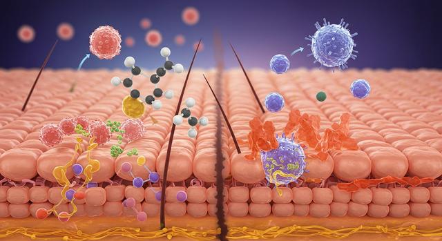 How Cortisol Affects Eczema Flare-Ups: What You Need to Know